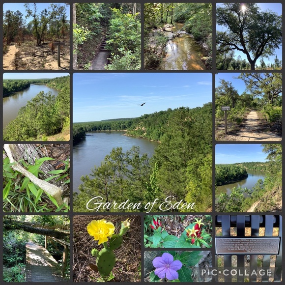 Freedom is not Free - Picture 4 of 7